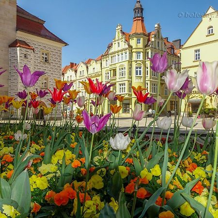 Apartament Przy Starowce - Hampton بوليسلافيتش المظهر الخارجي الصورة
