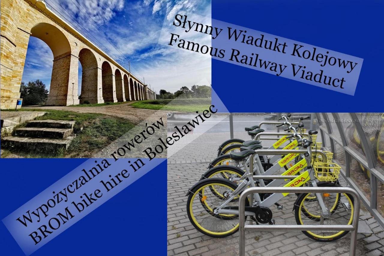 Apartament Przy Starowce - Hampton بوليسلافيتش المظهر الخارجي الصورة