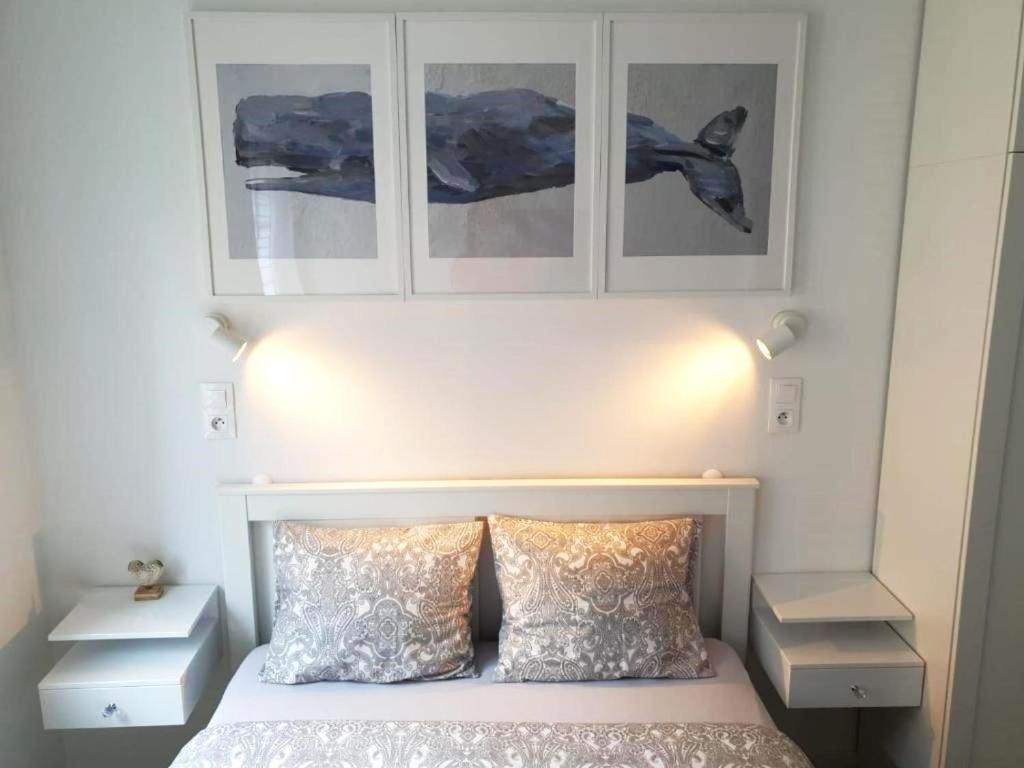 Apartament Przy Starowce - Hampton بوليسلافيتش المظهر الخارجي الصورة